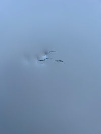 Thumbnail for Factory second 395L Top Mount Fridge in Natural Beige Finish GT-6NB - Second Hand Appliances Geebung