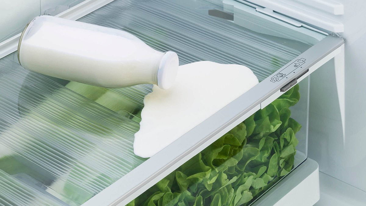 Factory second Fisher & Paykel 494 L Bottom Mount Refrigerator – Stainless Steel (RF522BLPX6) - Second Hand Appliances Geebung