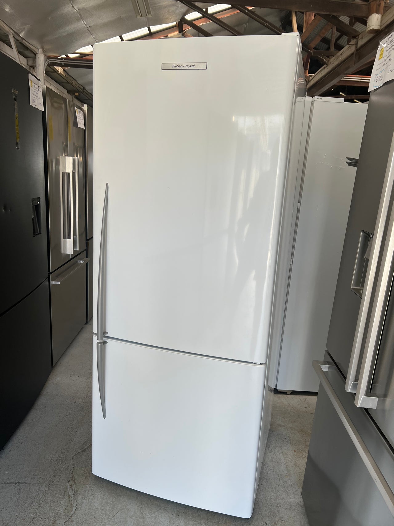 Second hand 442l Fisher&Paykel E442BRE - Second Hand Appliances Geebung